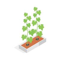 An eye catching isometric icon of a plant in a decorative, square planter. .', vector