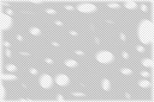 shadow overlay mockup with Elements for Collages vector
