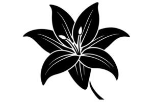 Intricate Lily Silhouette with Soft Curves vector