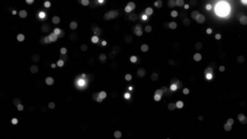 Black Loop Animated Bokeh Background video