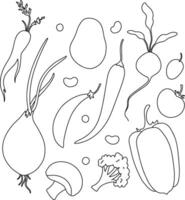 Set of vegetables, menu design, vegetarians, nutritionists. Onions, tomatoes, peas, beans, carrots, radishes, peppers, potatoes, champignons, broccoli, beans. Hand drawing vector