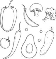 Set of vegetables, vegetarians, nutritionists. Tomatoes, peas, beans, carrots, radishes, peppers, champignons, broccoli, beans. Hand drawing, graphics vector