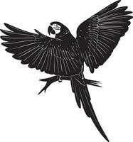 Parrot Bird with white background vector