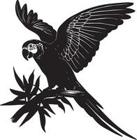 Parrot Bird silhouette on white background vector