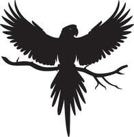 Parrot Bird black isolated on background vector