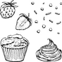 Set of hand drawn ink illustrations of a strawberry, muffin, whipped cream and sprinkles in the shape of hearts and stripes. Sketchy style dessert clipart for cafe menus, bakery prints vector