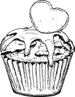 hand drawn ink illustration of cupcake with dripping icing, heart-shaped caramel candy. Perfect for Valentine s Day design, baking or wedding theme, sweets packaging, bakery menu, pastry shop vector