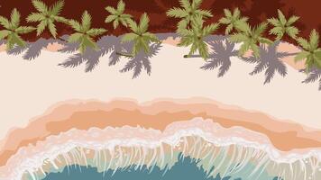 Tropical beach with palm trees and waves vector