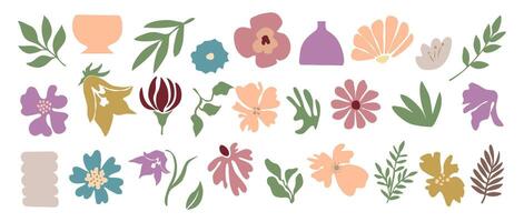A set of flowers and leaves on a white background vector