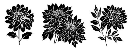 Four black and white flowers on a white background vector