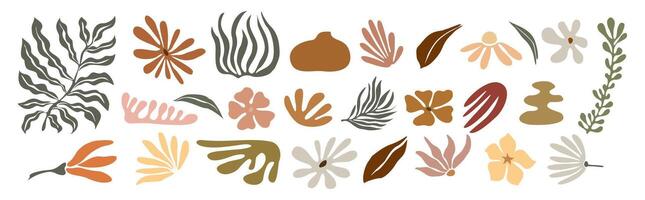 A set of different plants and leaves vector