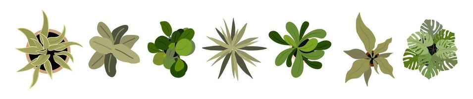 A set of different types of plants on a white background vector
