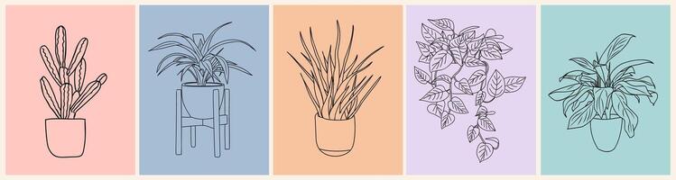 Four different types of plants in pots on different colored backgrounds vector