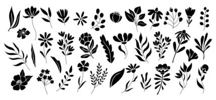 A set of black and white flowers and leaves vector
