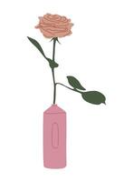 A pink rose in a vase on a white background vector