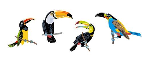 Four toucans are sitting on branches vector