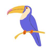 Toucan, tropical brightly coloured bird on white background vector