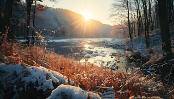 nature with a winter vibes photo