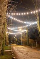 A nighttime view of a street with glowing string lights, leafless trees, parked cars, grass patches, scattered stones, and residential buildings. photo