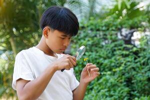 Asian boy goes into the field to study plants, using a magnifying glass to look at flowers and various plant components from the plants. photo