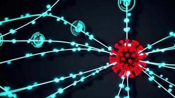 Exploring Viral Structure and Behavior Through Dynamic Visual Footage video