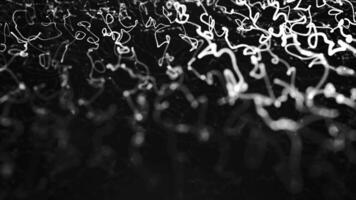 Black and white abstract light trails creating intricate lines and curves video