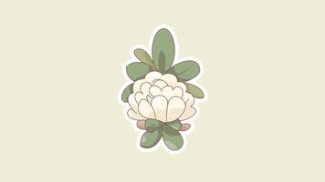 Elegant Succulent Animation Loop for Botanical Projects in 4K video