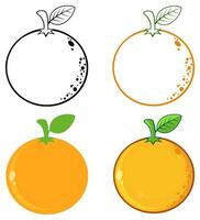 Collection of orange fruit drawings in multiple design variations, perfect for educational materials, food graphics, and illustrations vector