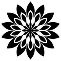 Beautiful Floral Elements Borders and Headings Classic Design vector