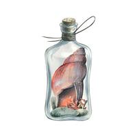 Watercolor illustration composition of a seashell with corals and pebbles in a glass jar with a cork and a rope. Poster, print, decorative element. vector