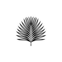 Palm tree leaf vector