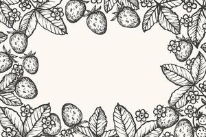 Engraved botanical Banner with Strawberry plants and flowers for text. Hand drawn Background with spring or summer blooming berries in vintage style. Food and seasons. Design border for web vector