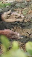 Hands working with soil in a rural setting video