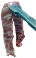 pork ribs and food tong without background png