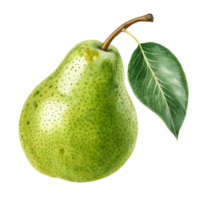 a pear with leaves on it, isolated on a transparent background png