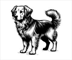 a black and white drawing of a golden retriever vector