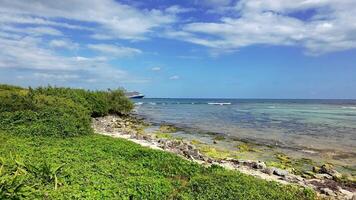 A view of the ocean from the shoreline video