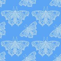 Seamless white and blue butterfly pattern with intricate ornamental details on the wings. Hand drawn design for decorative and creative projects vector