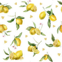 Watercolor seamless Pattern with illustration of whole and half Lemons with pink flowers. Hand painted print with citrus branch with green leaves on isolated background for print textile png
