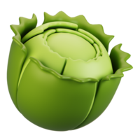 3d rendering vegetables icon concept. 3d render cabbage icon png