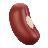 3d rendering vegetables icon concept. 3d render red bean icon png