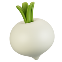 3d rendering vegetables icon concept. 3d render turnip icon png