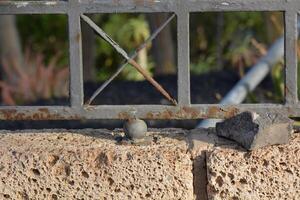 a brick on a wall photo