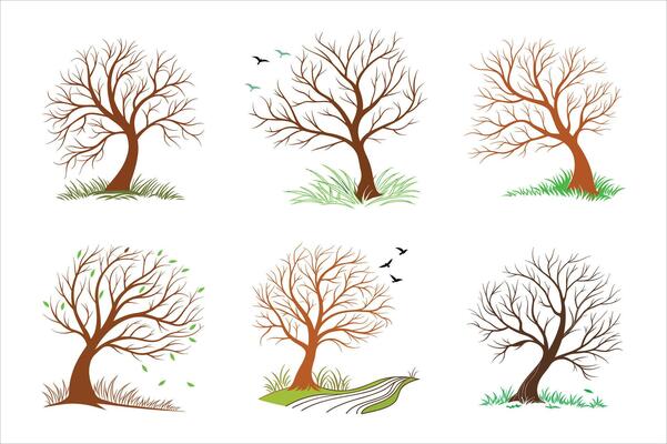 Minimalist tree illustrations, seasonal changes, bare branches, simple grass patches, brown tree trunks