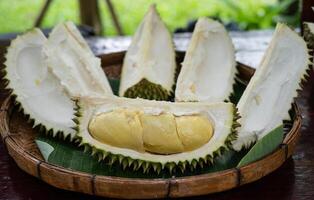Close up of an opened durians arranging on wooden tray. Durian is a delicious tropical fruit native to Southeast Asia and is widely known as the King of Fruits. photo