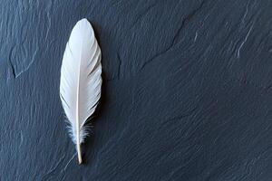 Minimal contrast of a white feather on black, evoking calm and compositional balance photo