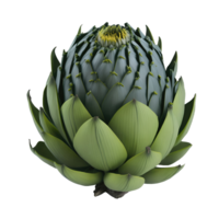 Realistic artichoke flower isolated on transparent background png
