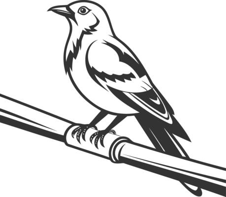 Minimalist Black and White Line Art Bird Perched on a Branch in a Modern Digital Illustration for Nature and Wildlife Themed Designs