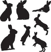 Silhouettes of Various Rabbits in Different Poses vector