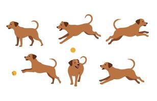 Playful Labrador Running on a Leaf-Covered Path in a Golden Autumn Park vector